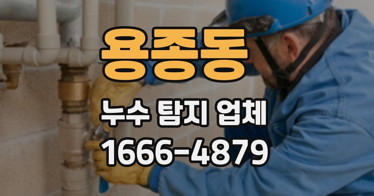 용종동 누수 탐지 업체