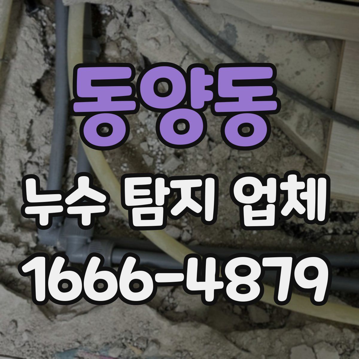 동양동 누수 탐지 업체