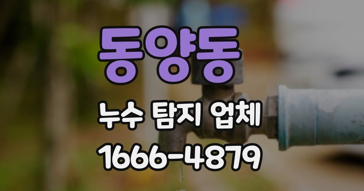 동양동 누수 탐지 업체