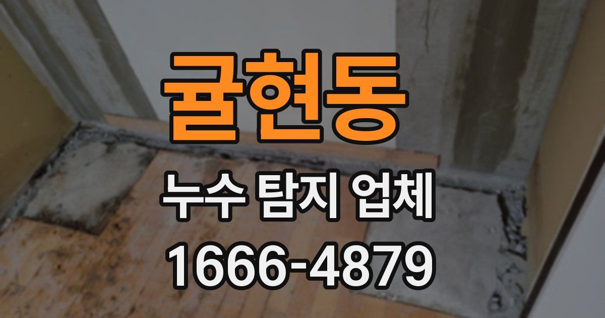 귤현동 누수 탐지 업체