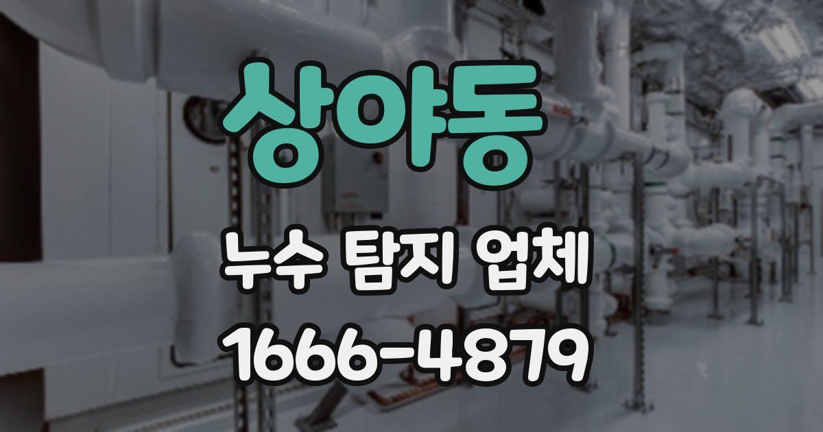상야동 누수 탐지 업체