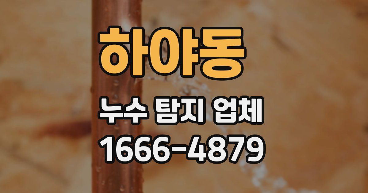 하야동 누수 탐지 업체