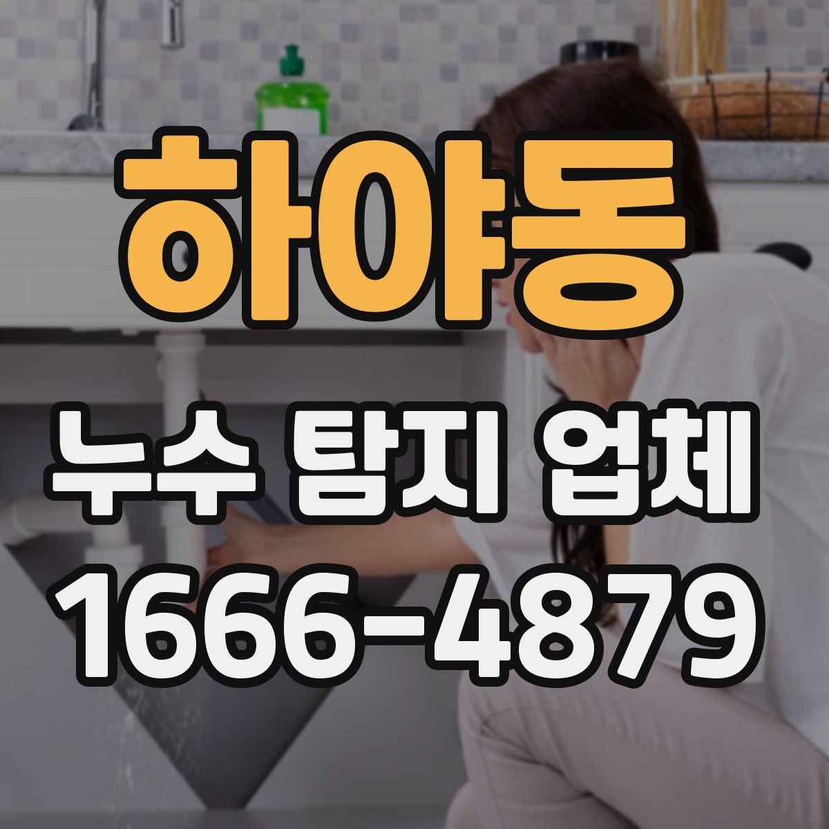 하야동 누수 탐지 업체