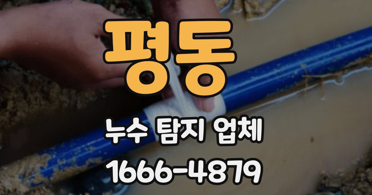 평동 누수 탐지 업체