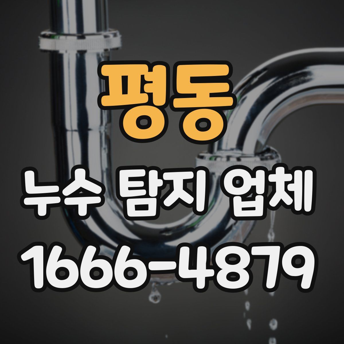 평동 누수 탐지 업체