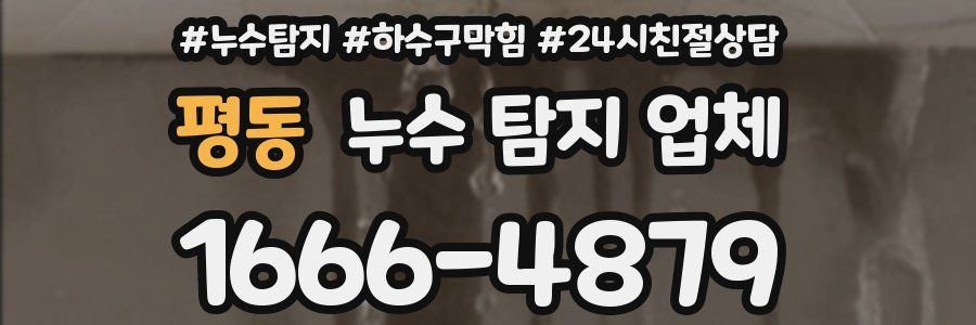 평동 누수 탐지 업체