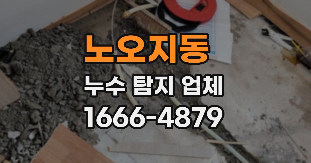 노오지동 누수 탐지 업체