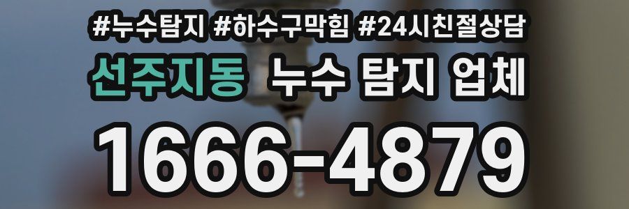 선주지동 누수 탐지 업체