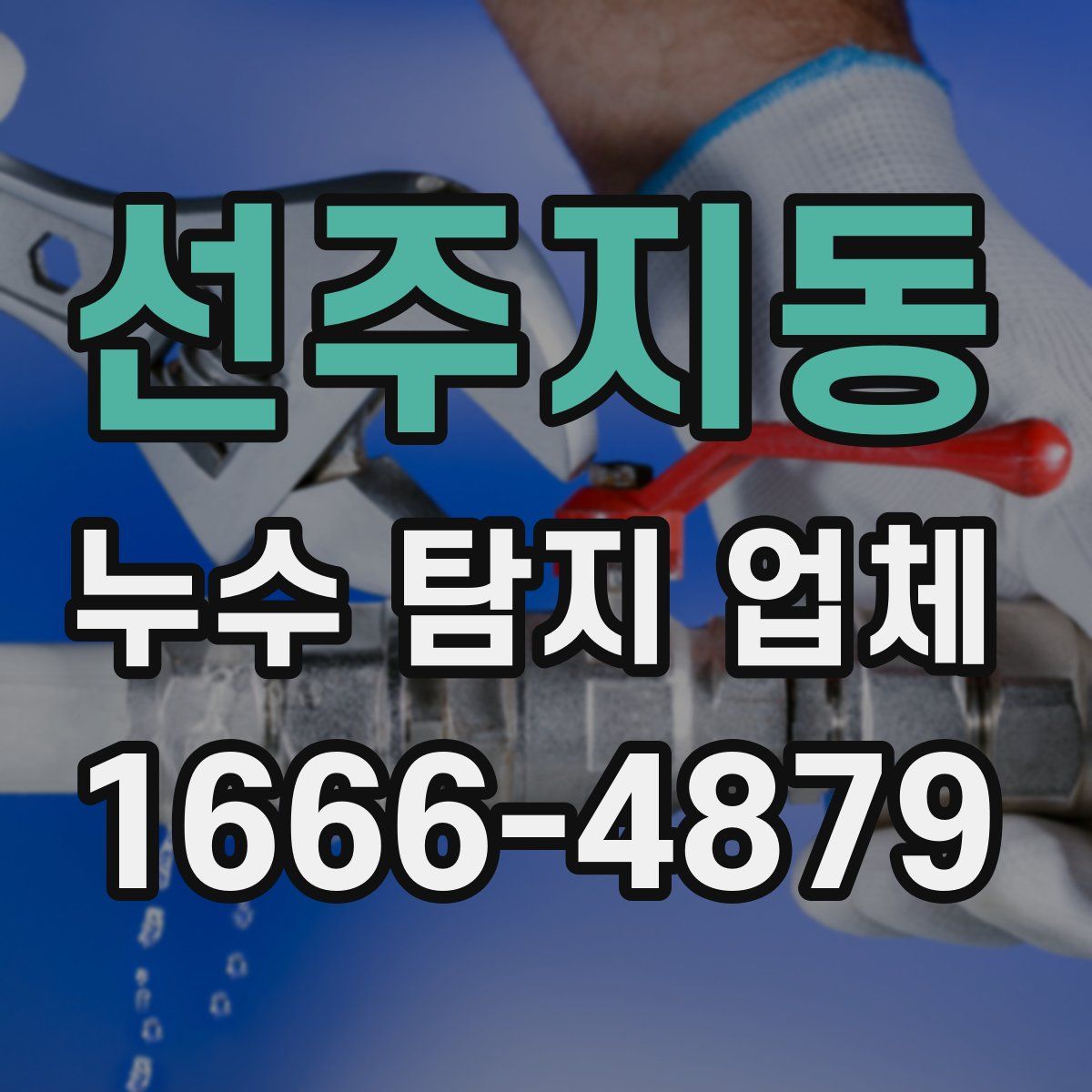 선주지동 누수 탐지 업체