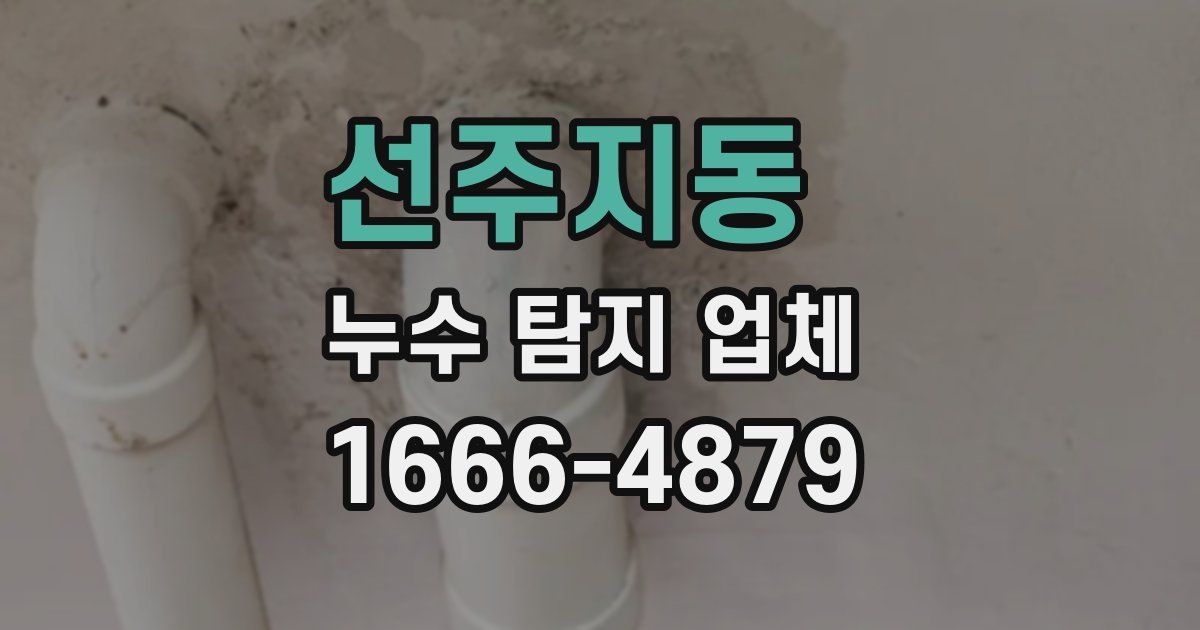 선주지동 누수 탐지 업체