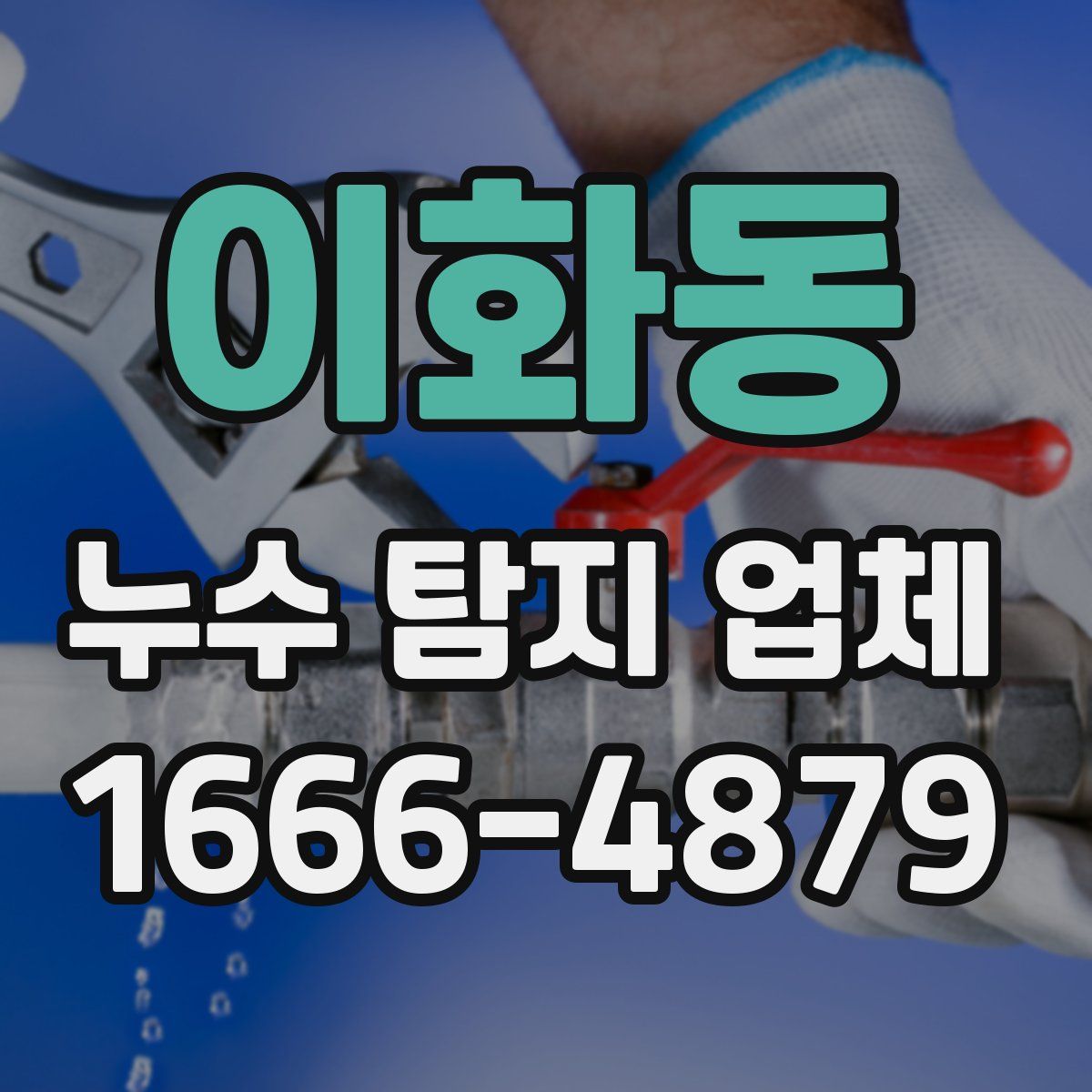이화동 누수 탐지 업체
