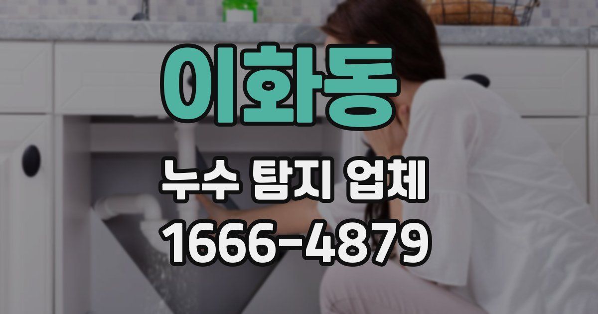 이화동 누수 탐지 업체