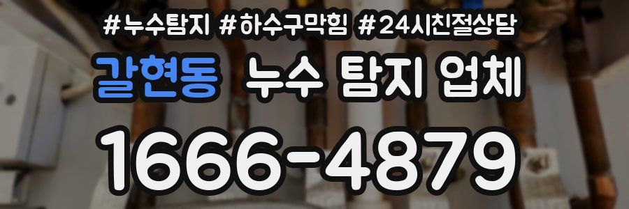 갈현동 누수 탐지 업체