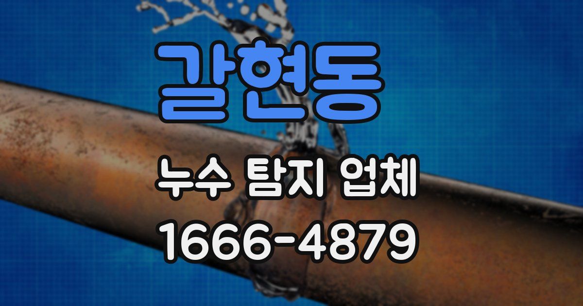 갈현동 누수 탐지 업체