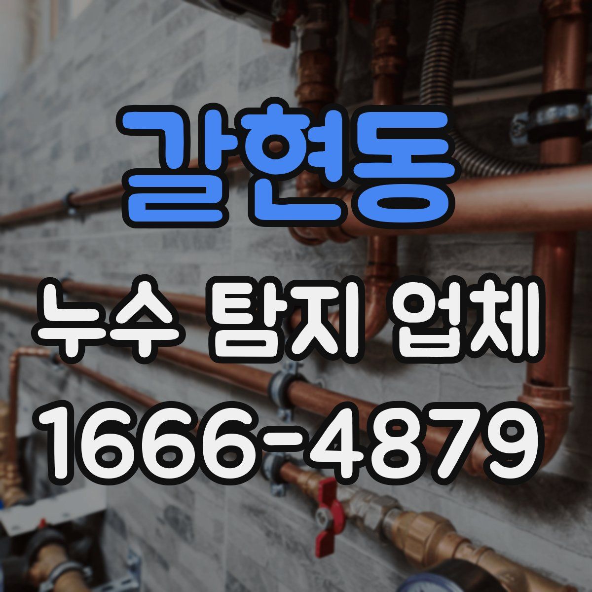갈현동 누수 탐지 업체