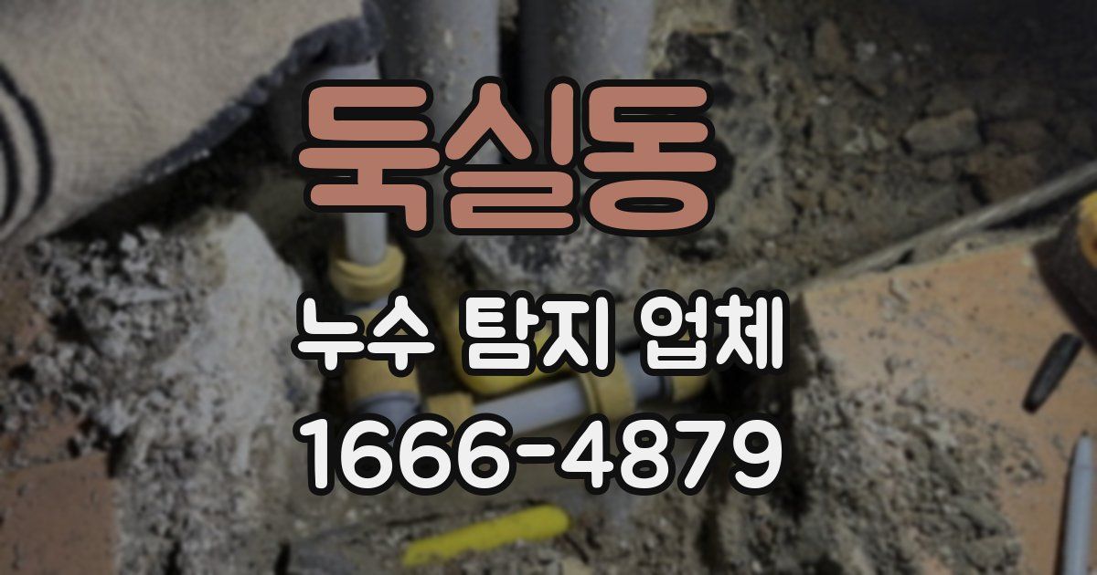 둑실동 누수 탐지 업체