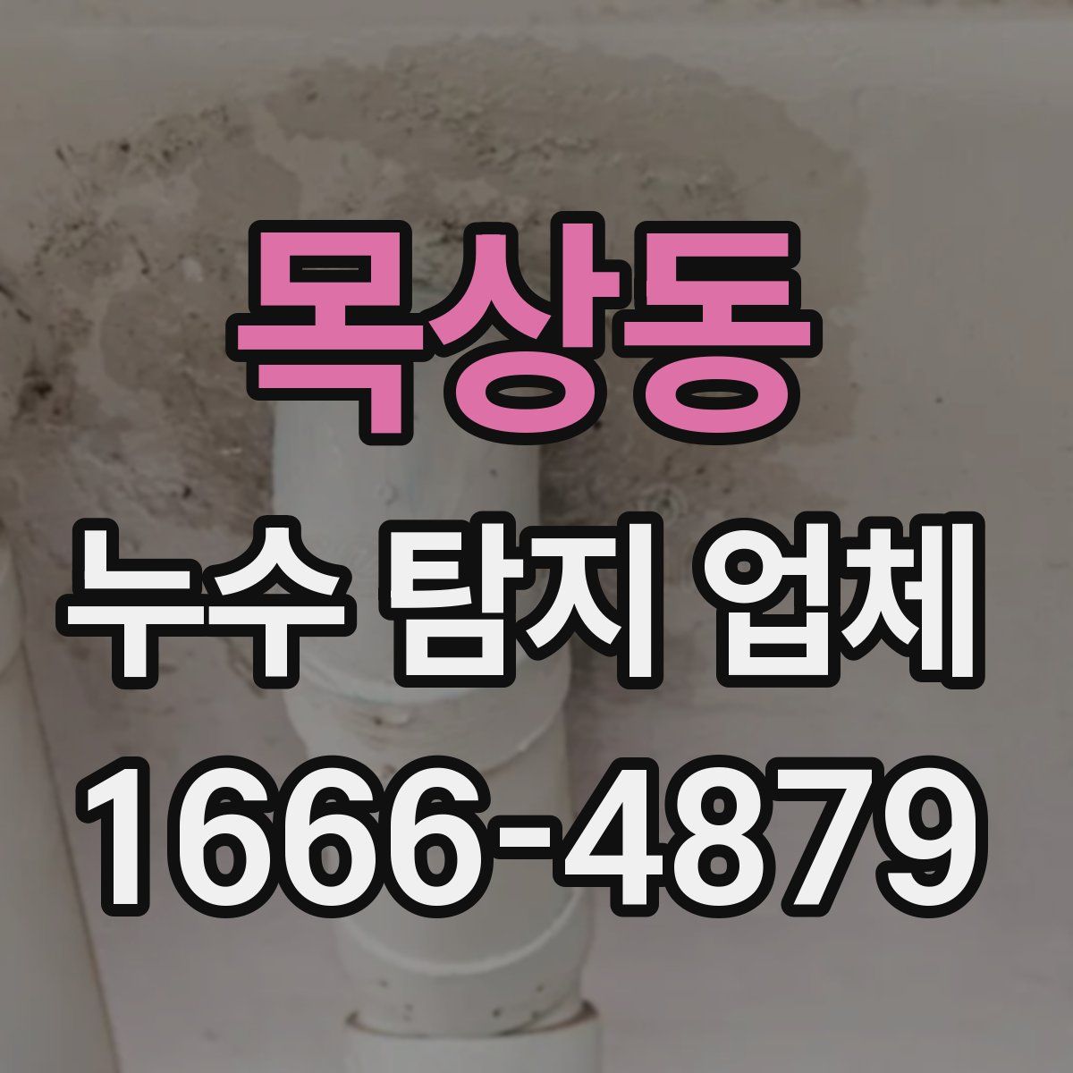 목상동 누수 탐지 업체