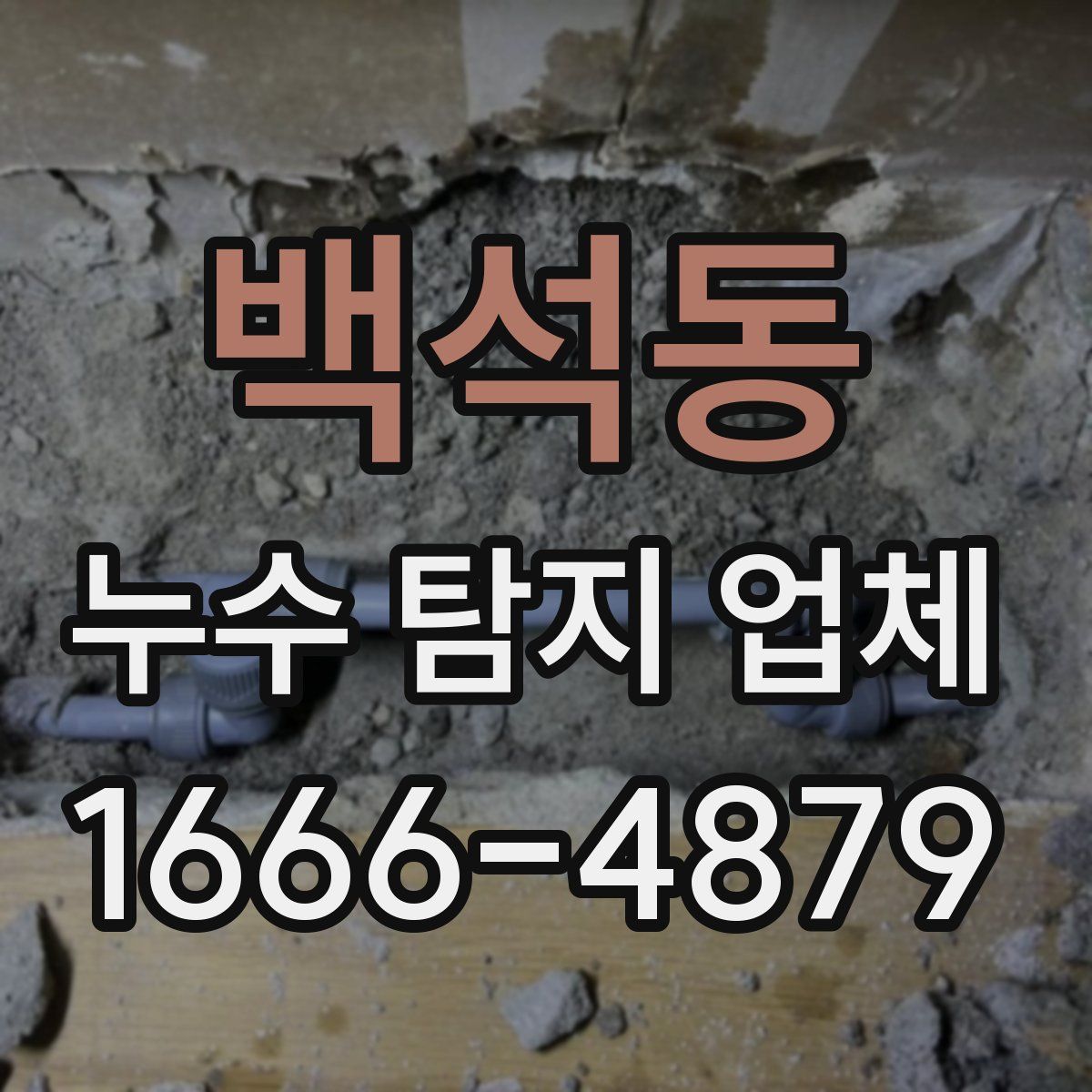 백석동 누수 탐지 업체