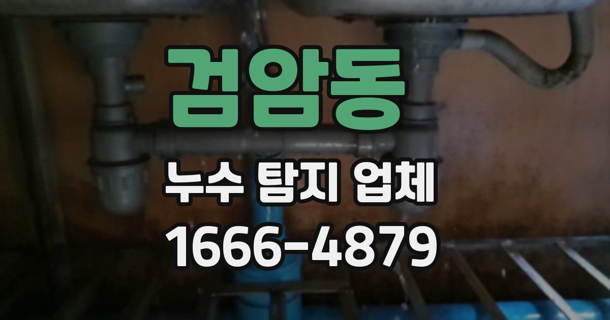 검암동 누수 탐지 업체