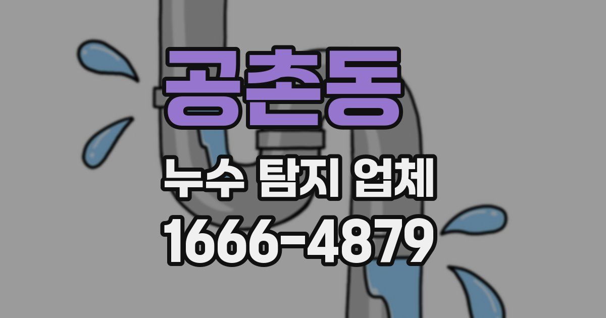 공촌동 누수 탐지 업체