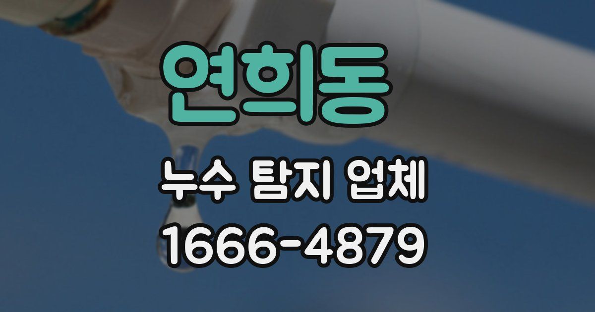 연희동 누수 탐지 업체