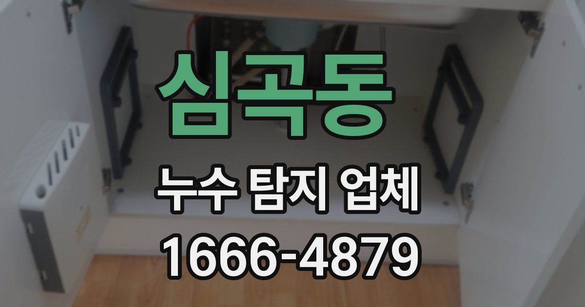 심곡동 누수 탐지 업체
