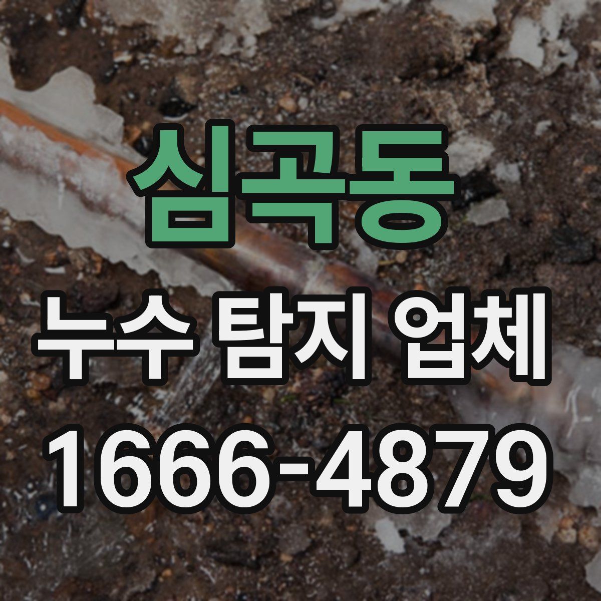 심곡동 누수 탐지 업체