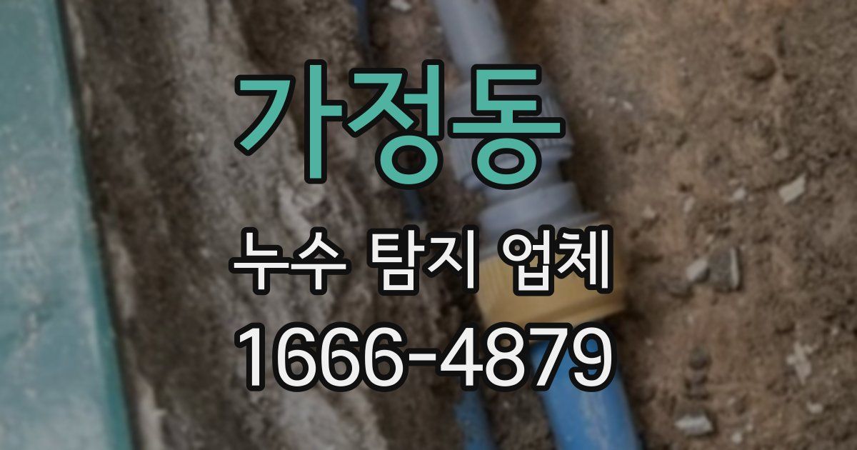 가정동 누수 탐지 업체
