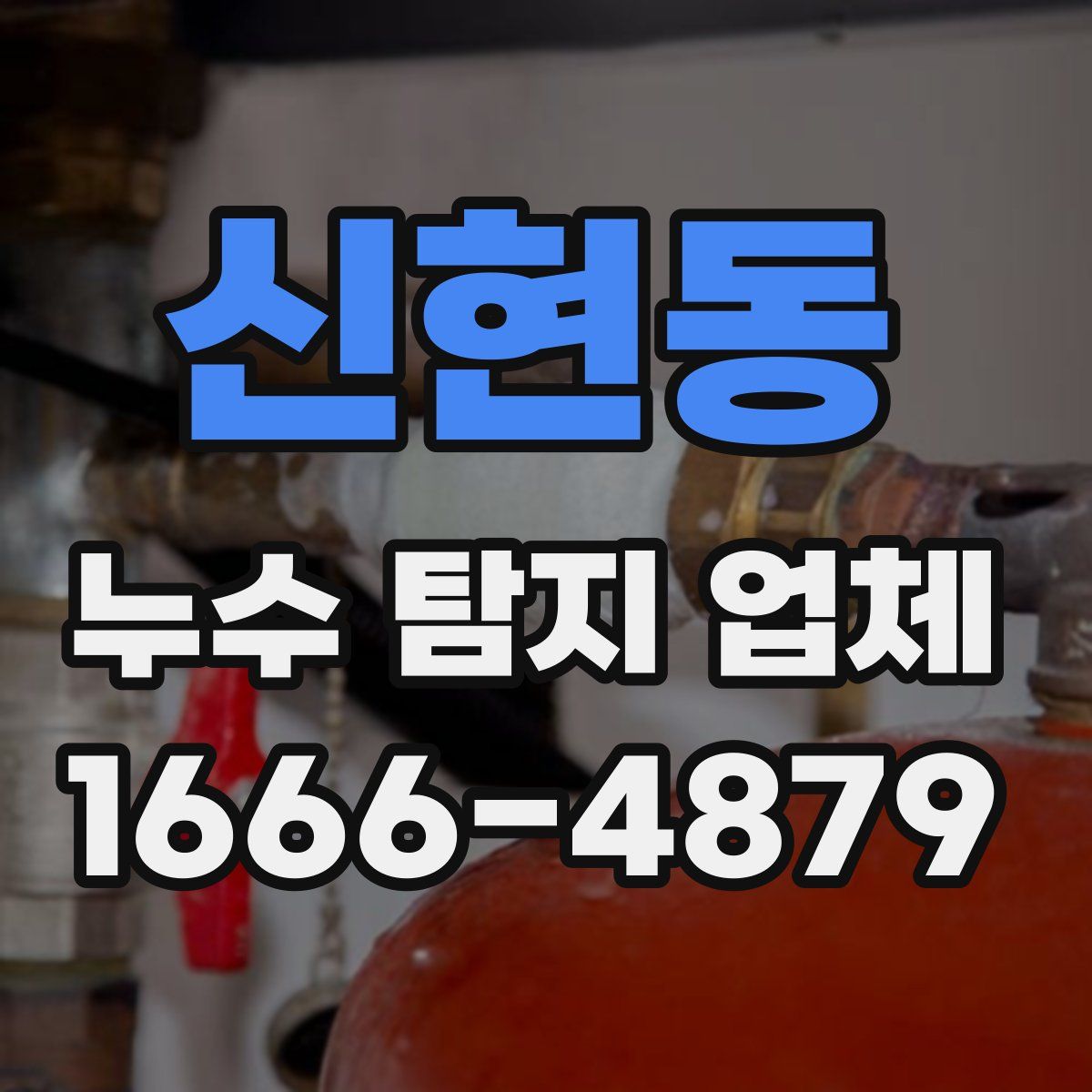 신현동 누수 탐지 업체