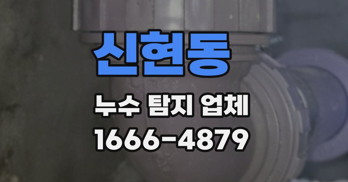 신현동 누수 탐지 업체
