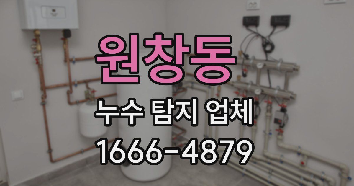 원창동 누수 탐지 업체