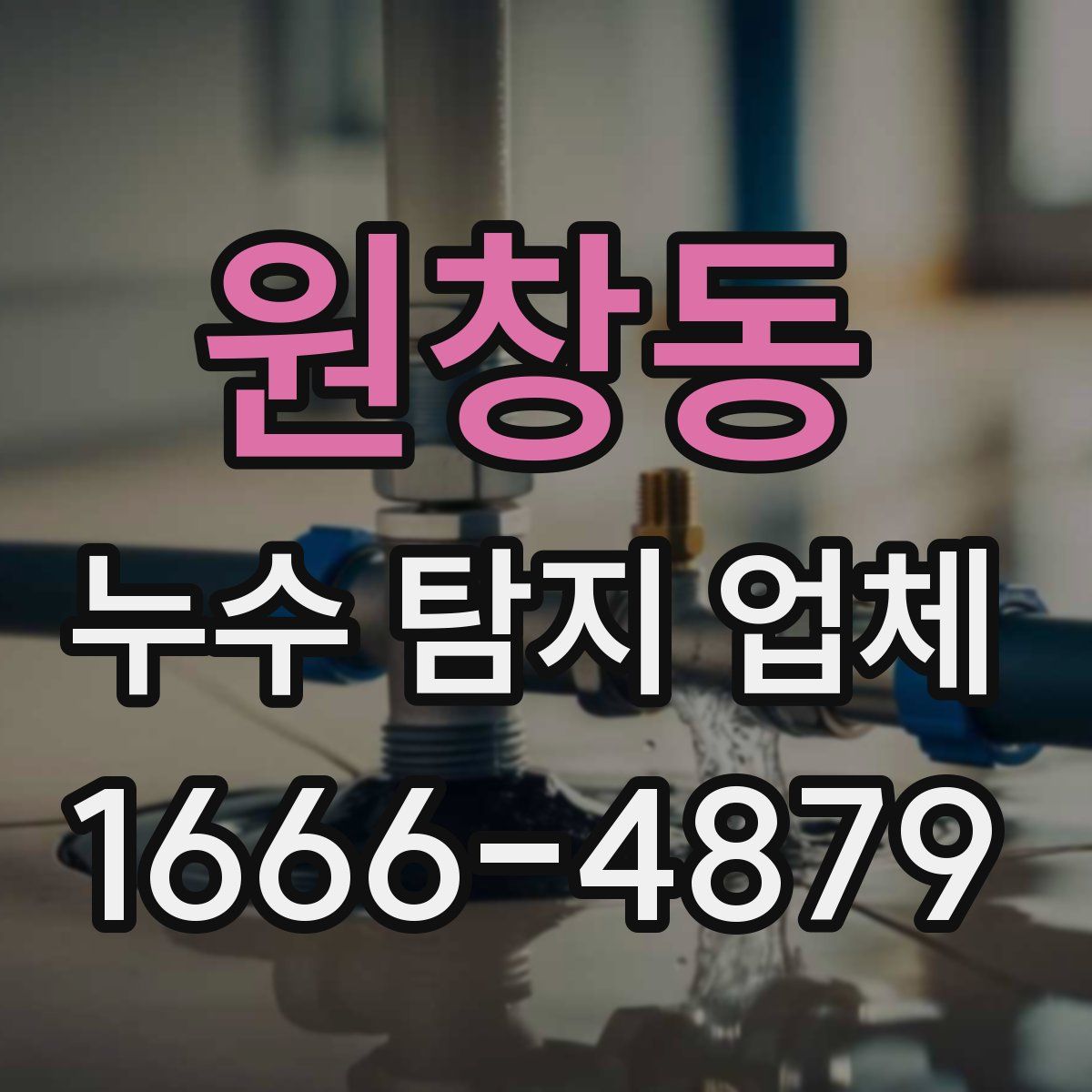 원창동 누수 탐지 업체
