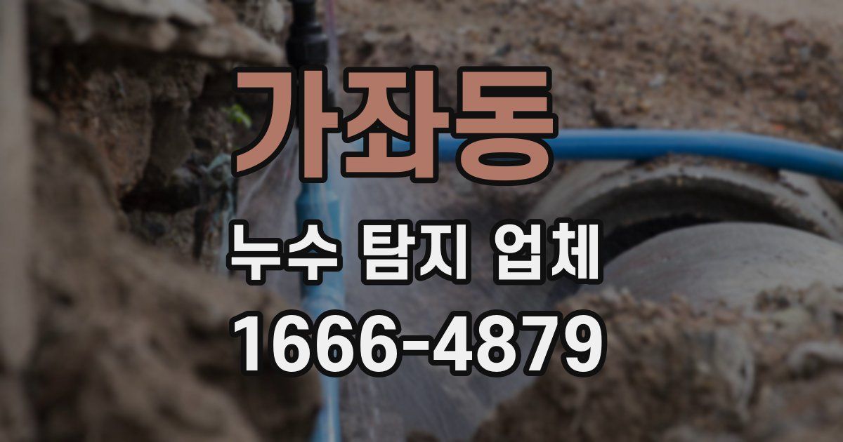 가좌동 누수 탐지 업체