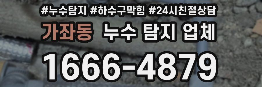 가좌동 누수 탐지 업체