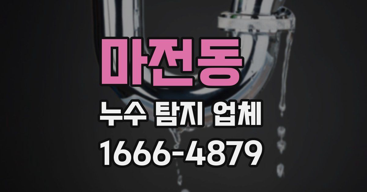 마전동 누수 탐지 업체