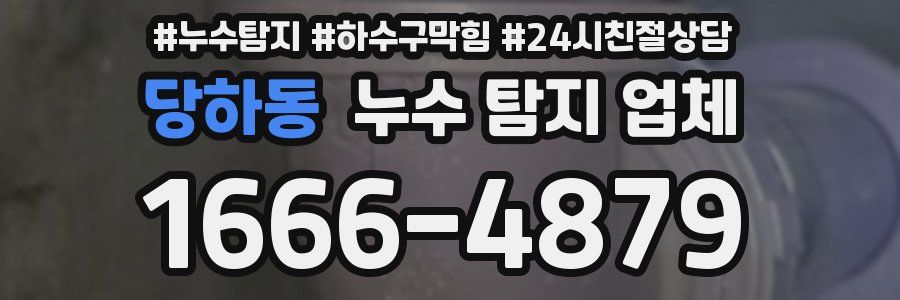 당하동 누수 탐지 업체