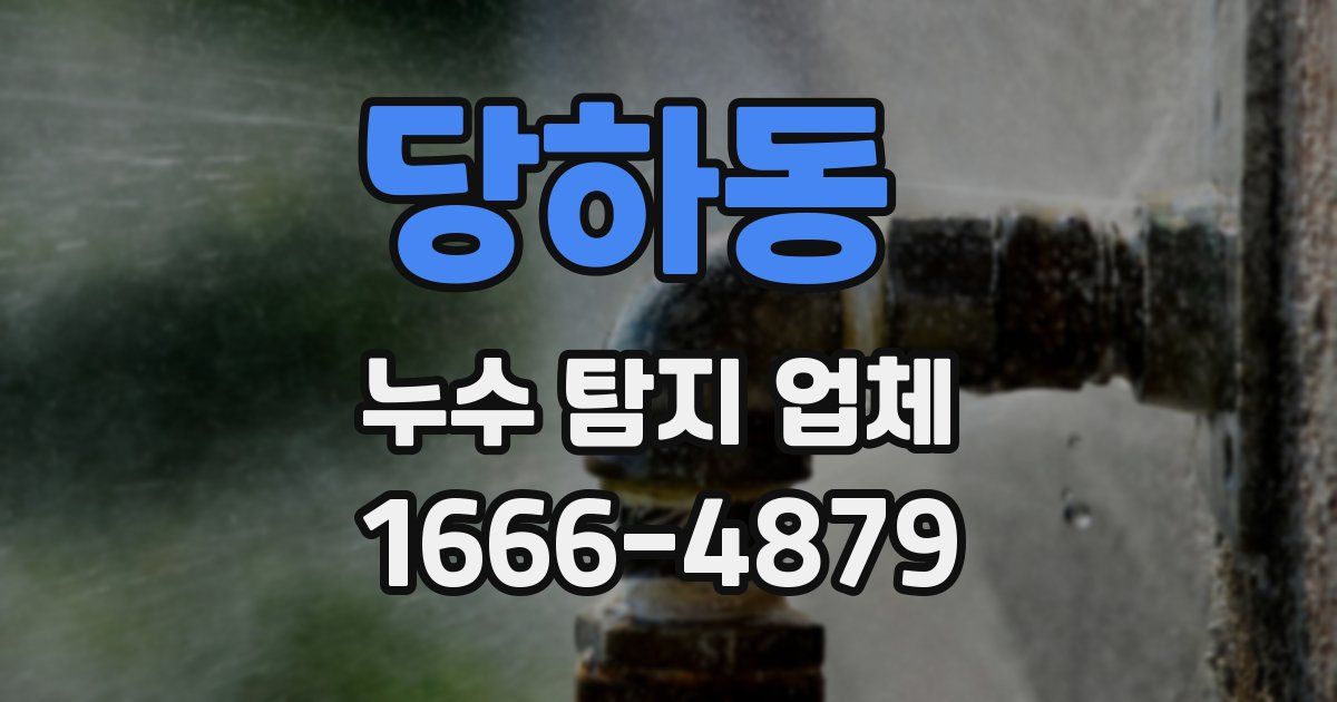 당하동 누수 탐지 업체