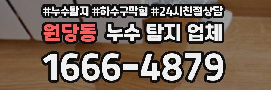 원당동 누수 탐지 업체