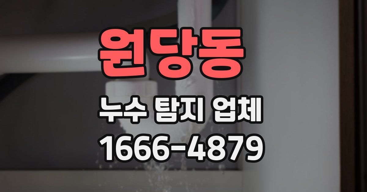 원당동 누수 탐지 업체