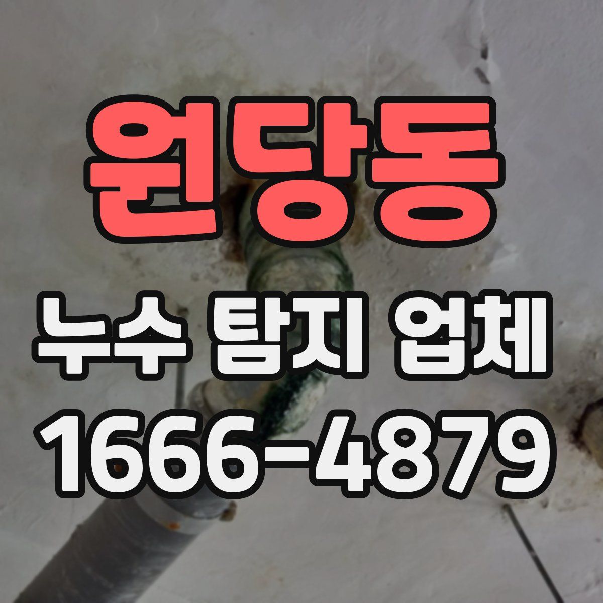 원당동 누수 탐지 업체