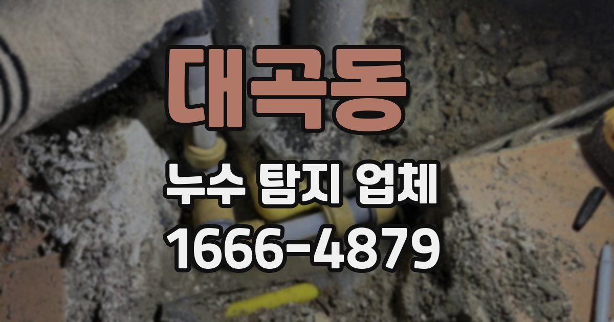 대곡동 누수 탐지 업체