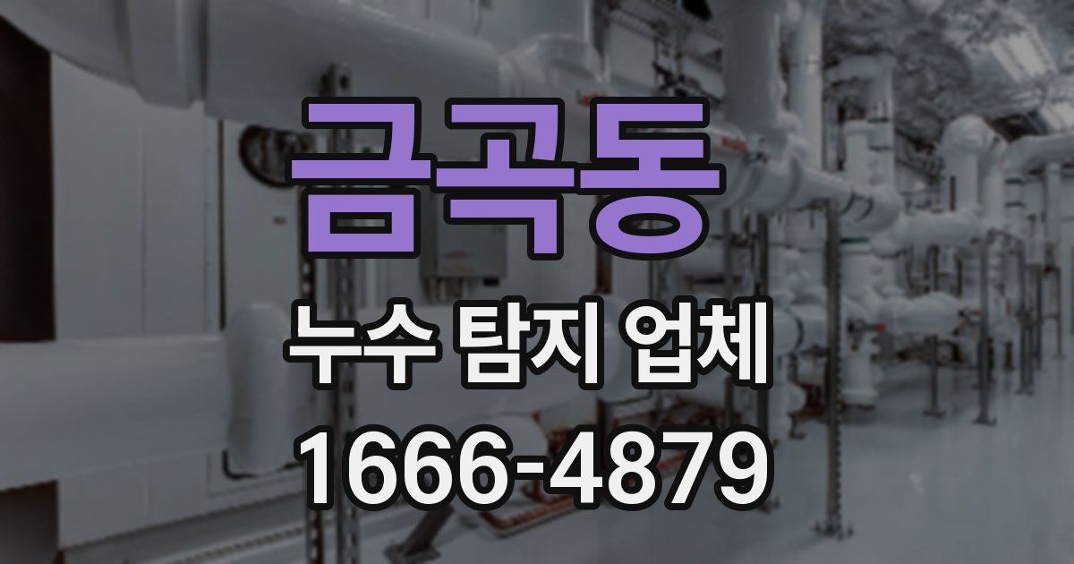 금곡동 누수 탐지 업체