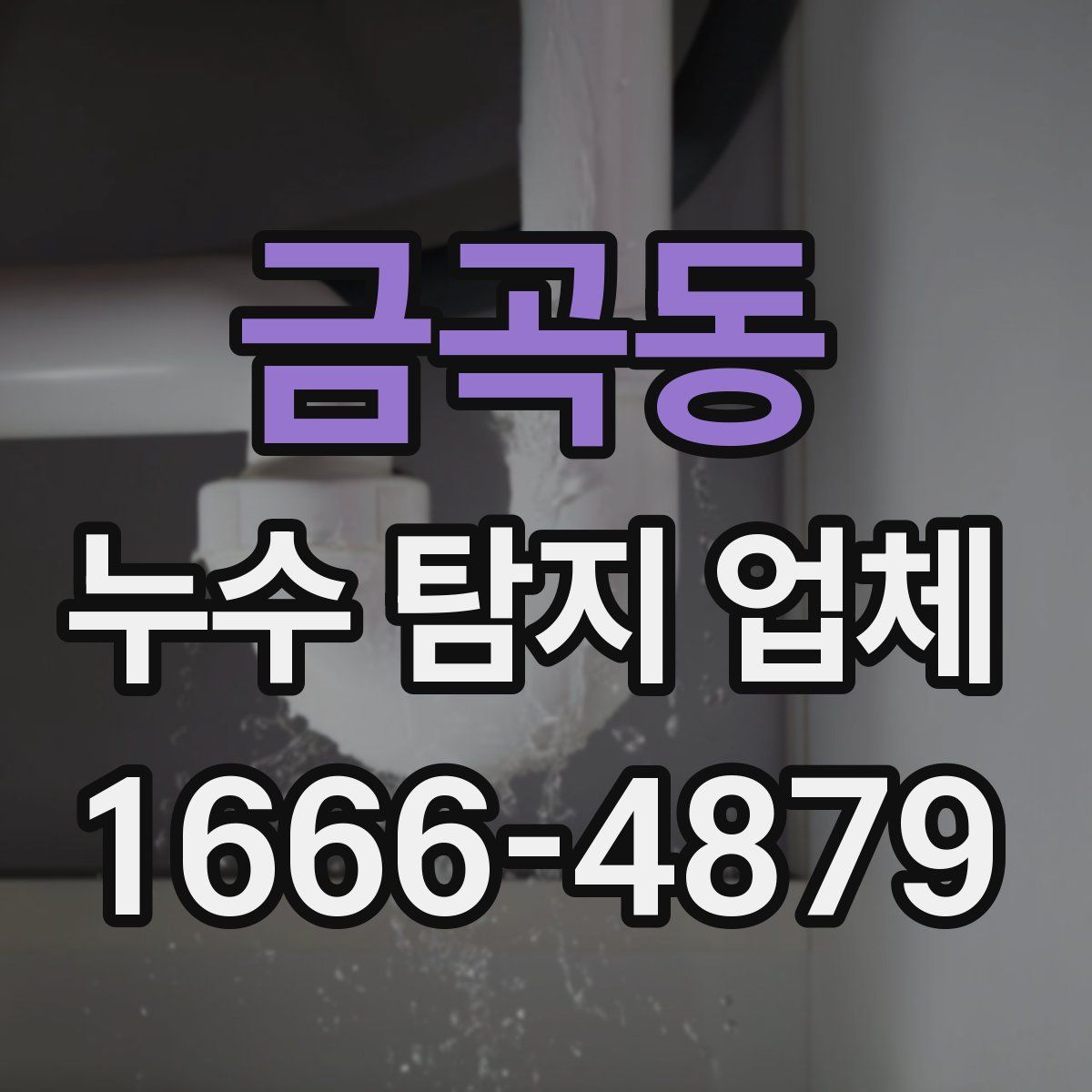 금곡동 누수 탐지 업체