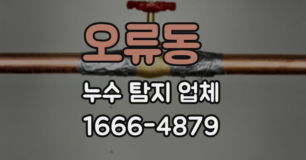 오류동 누수 탐지 업체