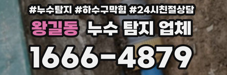 왕길동 누수 탐지 업체
