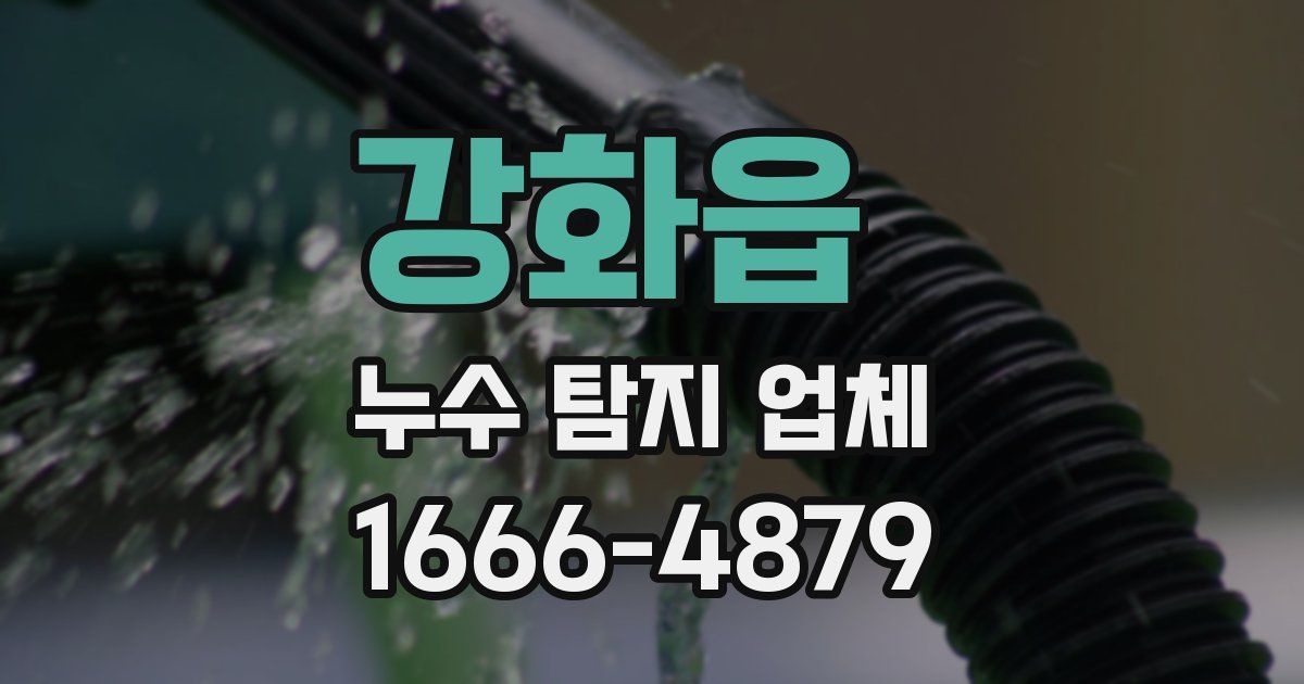 강화읍 누수 탐지 업체