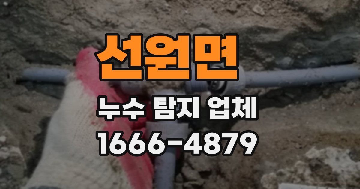 선원면 누수 탐지 업체