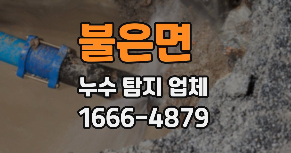 불은면 누수 탐지 업체