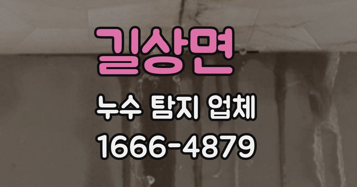 길상면 누수 탐지 업체