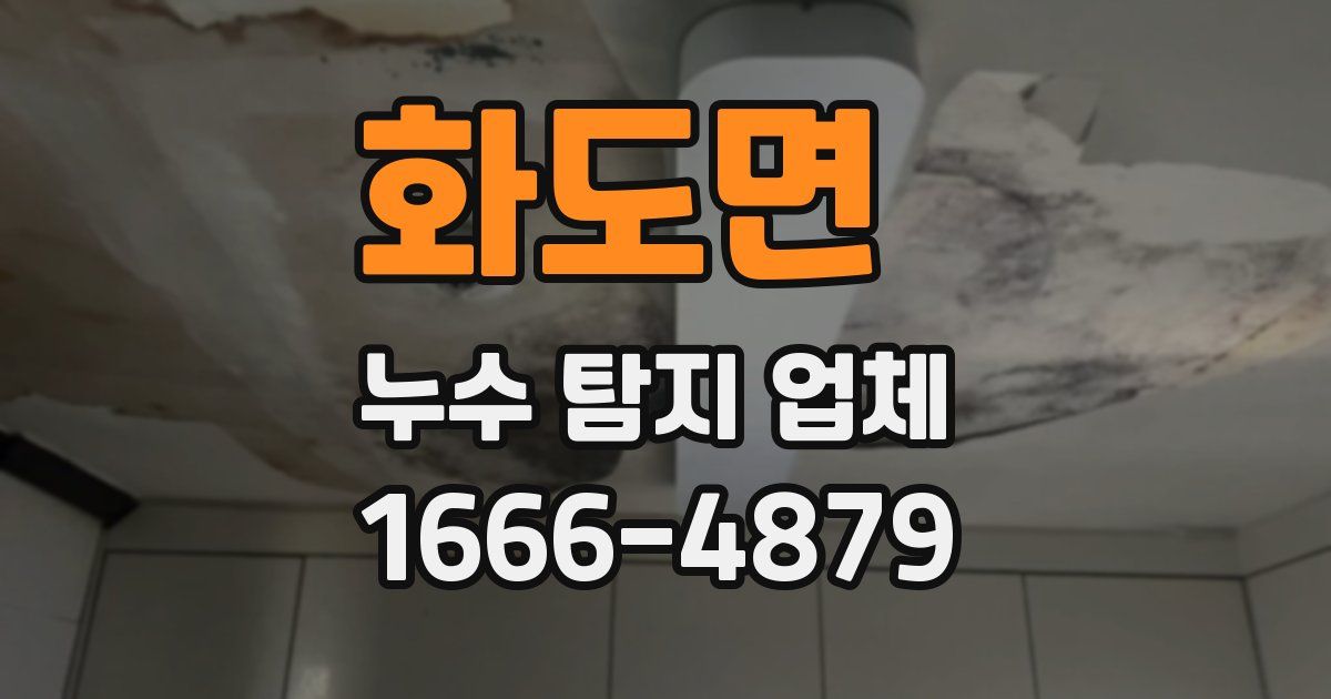 화도면 누수 탐지 업체